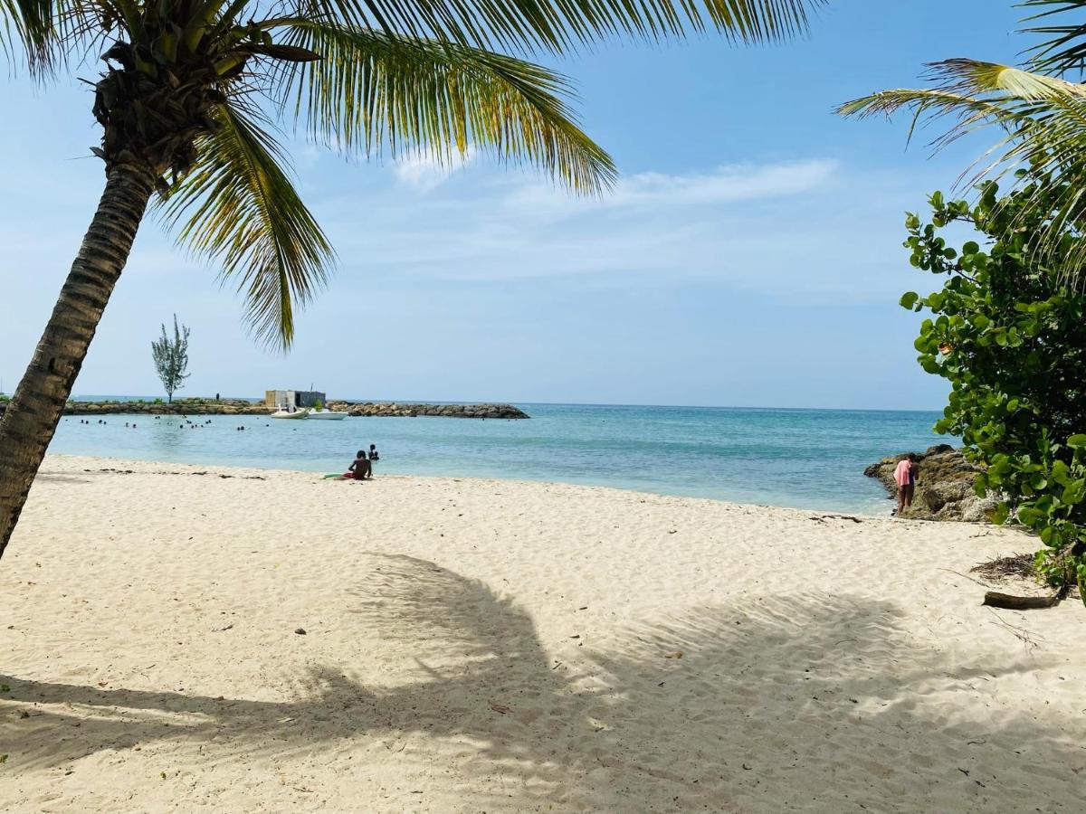Vanille, A Proximite Des Plages, Idealement Situe Pour Visiter La Guadeloupe Le Gosier  Ngoại thất bức ảnh